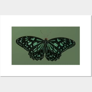 Vintage butterflies Pattern Posters and Art